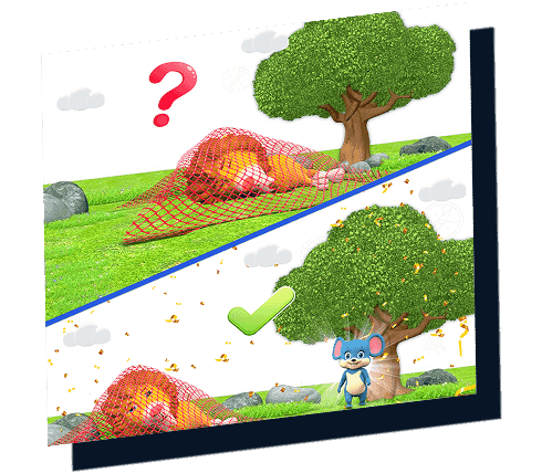 Brain King Game Screenshot 4